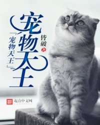 宠物天王_现代都市_作者:皆破_小说_塔读文学